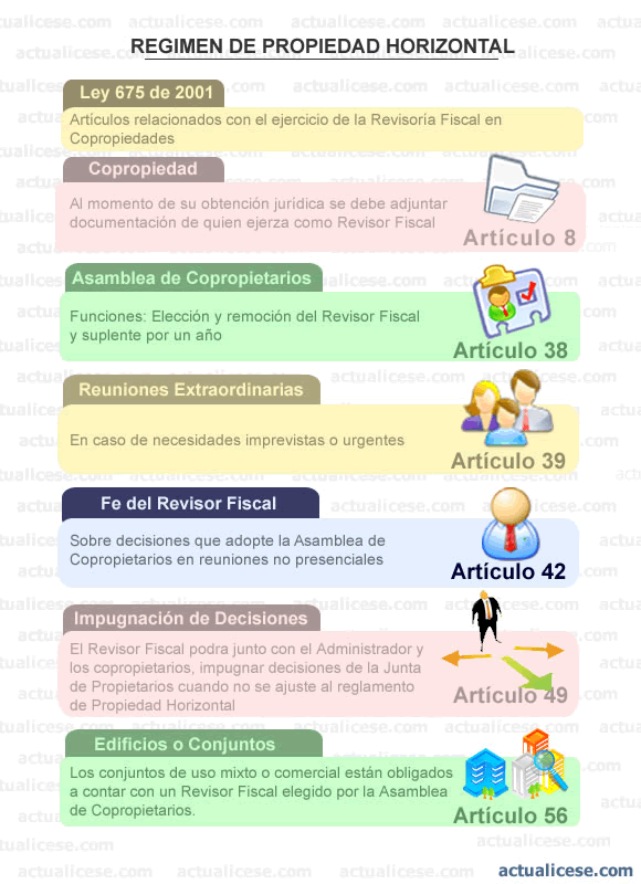 [infografía] ¿qué Deben Tener En Cuenta Los Revisores Fiscales De Una