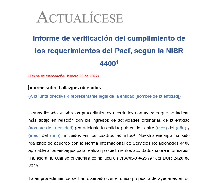 Informe de verificación del cumplimiento de los requerimientos del Paef, según la NISR 4400