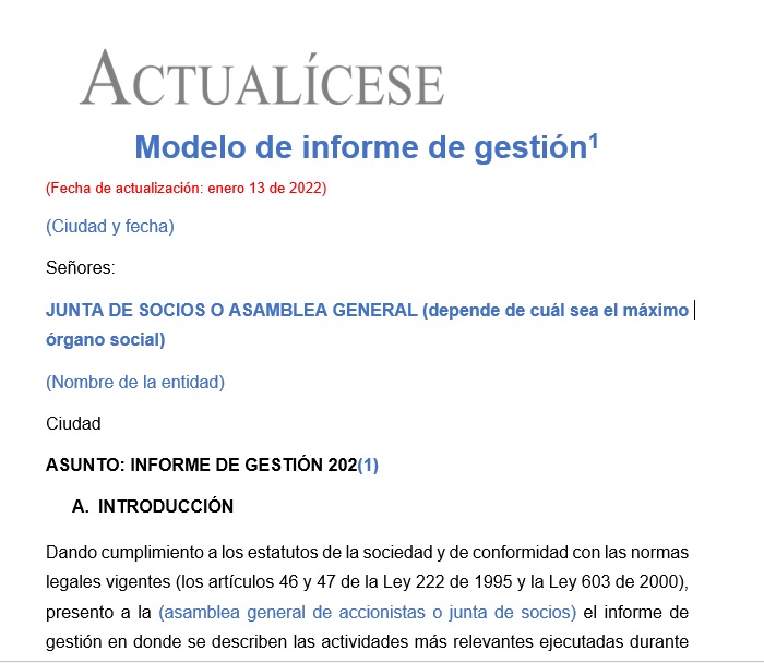 Modelo de informe de gestión