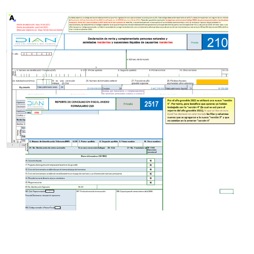 Formulario 210 y formato 2517 para la declaración de renta de personas naturales residentes que llevan contabilidad AG 2022