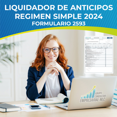 Liquidador anticipos R.S.T. 2024 – Grupo consultor empresarial NLC SAS