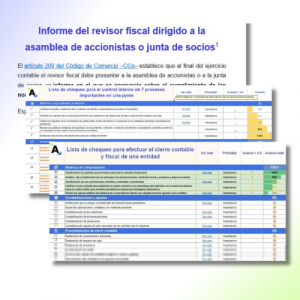 [Pack de Formatos] Guías en Word y Excel para el ejercicio de la revisoría fiscal en Colombia