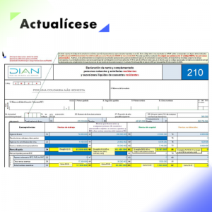 [Liquidador] Excel del formulario 210 para la declaración de renta de personas naturales residentes que no llevan contabilidad AG 2024